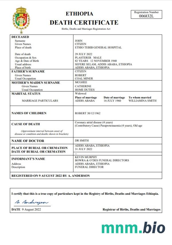 Ethiopia rekord życiowy śmierć certyfikat Word i PDF szablon